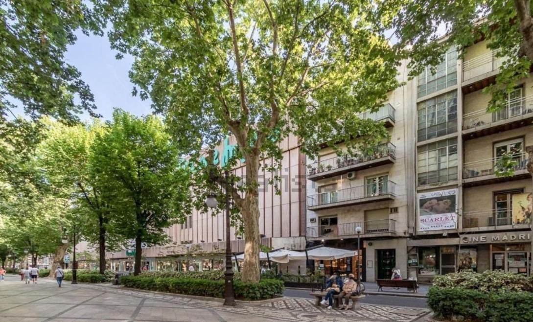Apartamento Con Terraza A 4 Minutos De La Catedral 그라나다 외부 사진